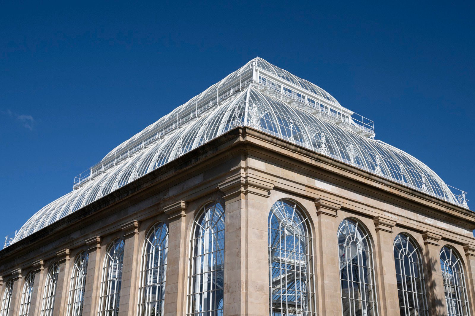 A restored iron and glass palm house with tropical plants inside